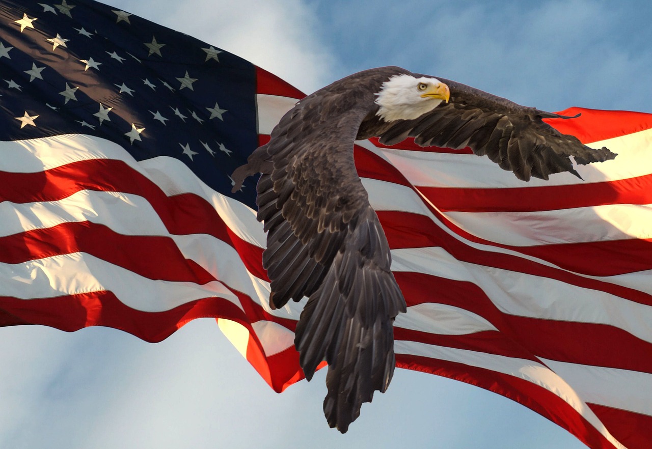flag, eagle, usa, america, symbol, patriotic, freedom, government, nation, adler, patriotic, patriotic, patriotic, patriotic, patriotic